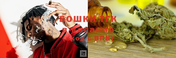 apvp Алзамай